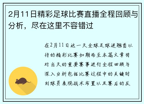 2月11日精彩足球比赛直播全程回顾与分析，尽在这里不容错过